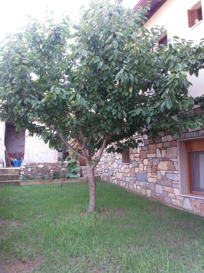 Villa Anna Ayios Nikolaos Bagian luar foto